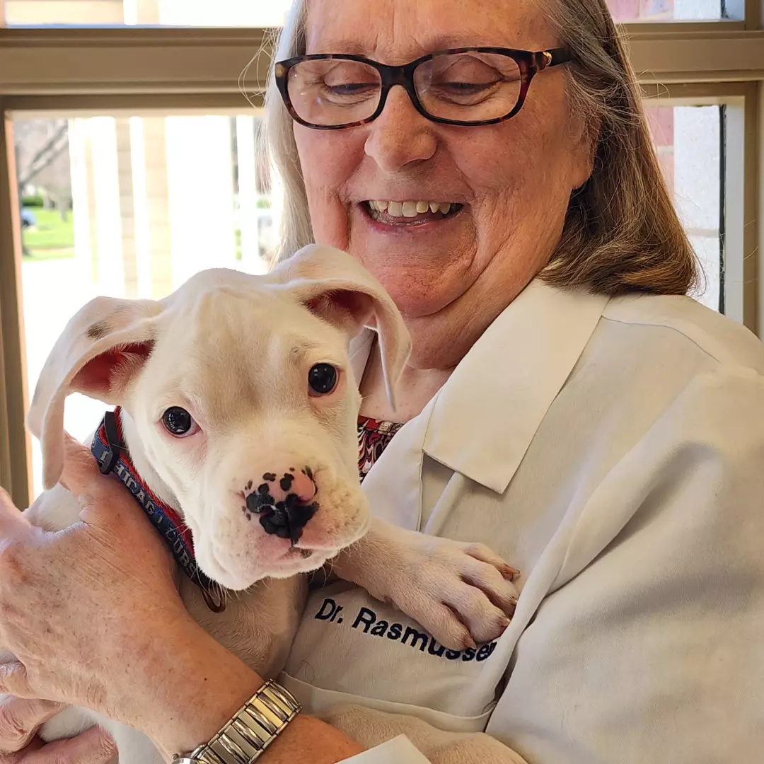 MIKE HANNA - Veterinary Omaha