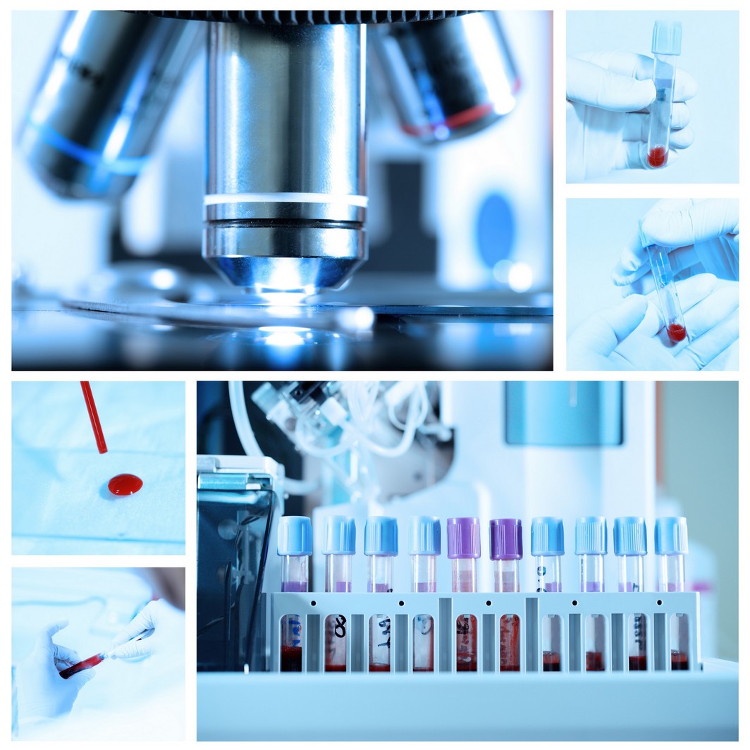 pet kidney disease diagnosis Omaha, NE