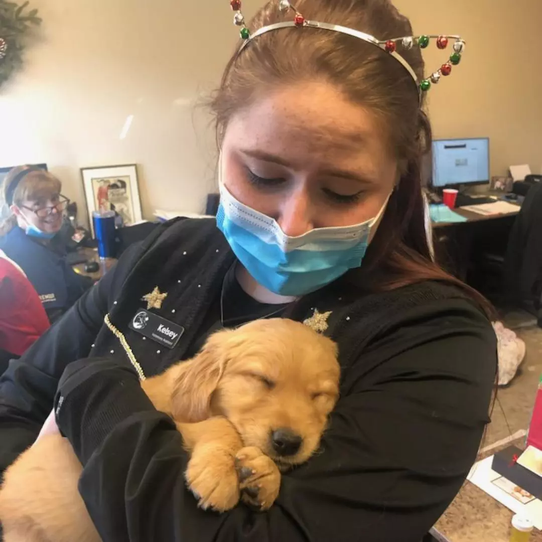 KELSEY - Veterinary Omaha
